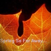 Spring So Far Away Podcast artwork