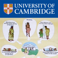 New Approaches to Maternal Mortality In Africa: Melissa Lane: Summing Up
