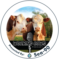 Ep. 391 – John Moody – Fighting RFID