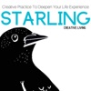 Starling artwork