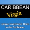 Caribbean Virgin: Unique Investment Deals in the Caribbean artwork