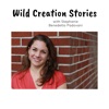 Wild Creation Stories artwork