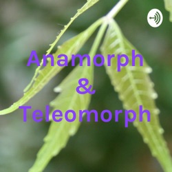 Anamorph & Teleomorph