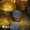 SBS Thai - เอสบีเอส ไทย artwork