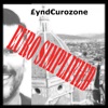 Lyndeurozone Euro Simplified artwork