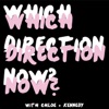 Which Direction Now? artwork