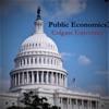 Colgate University Public Economics Course artwork