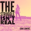 The Struggle Isn't Real Podcast - Codie Sanchez