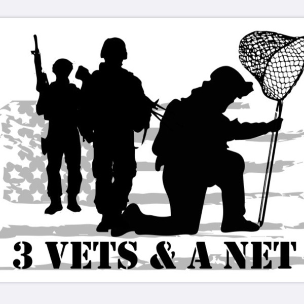 Three Vets and a Net Artwork