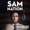 Sam Nation artwork