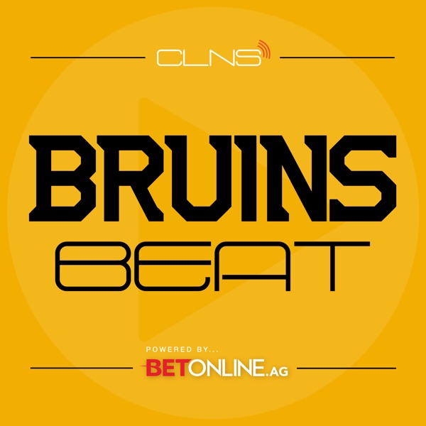 Bruins Beat Artwork