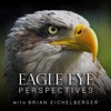 Eagle Eye Perspectives Podcast artwork