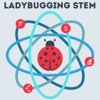 Ladybugging STEM artwork