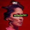 Motherhacker artwork