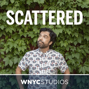 Introducing Scattered