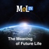 MeaningofLife.tv artwork