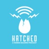 Hatched artwork