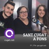 Sant Cugat a Fons artwork