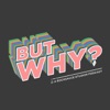 But Why? artwork