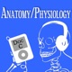 Biology 2110-2120: Anatomy and Physiology with Doc C