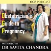 Obstetrician's Guide to Pregnancy artwork