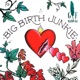 Big Birth Junkie