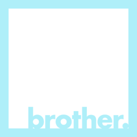 Brother: 11 - Interview with Dr David Staples
