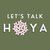 Let’s Talk Hoya - Let's Talk Hoya