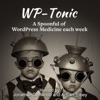 WP-Tonic | WordPress | SaaS  | Bootstrap SaaS | Indie Hackers | Startups artwork