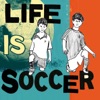 Life is Soccer artwork