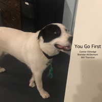 You Go First podcast