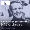 Eric Friesen presents the NAC Orchestra artwork