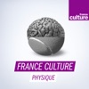 France Culture physique artwork
