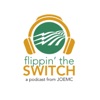 Flippin' the Switch artwork