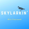 Skylarkin' - Nico Yearwood artwork