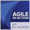 Agile in Action with Bill Raymond artwork