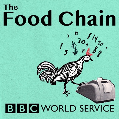 The Food Chain The Food Chain