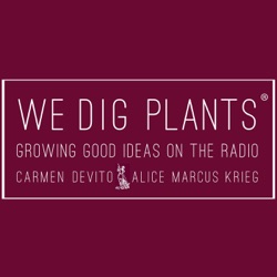 We Dig Plants