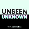 Unseen Unknown artwork