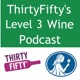 1: ThirtyFifty's Level 3 Podcast Introduction