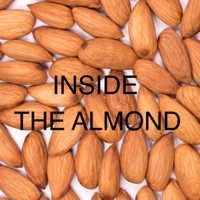 Inside The Almond podcast