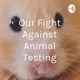 Our Fight Against Animal Testing