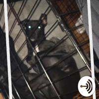 Rafikis music vibes podcast
