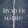 Hvað er málið? artwork