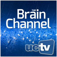 Brain Channel (Video) podcast
