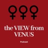 View from Venus artwork
