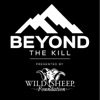 Beyond the Kill artwork