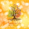 Friends For Life Podcast artwork