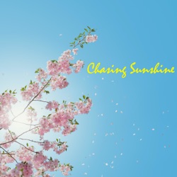 Introducing: Chasing Sunshine