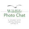 Wildlife Photo Chat artwork